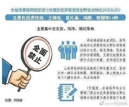 admin 第12页